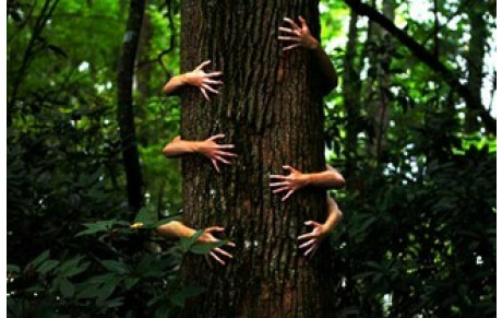 ATELIER MARCHE RAPIDE ET NATURE 11 AVRIL